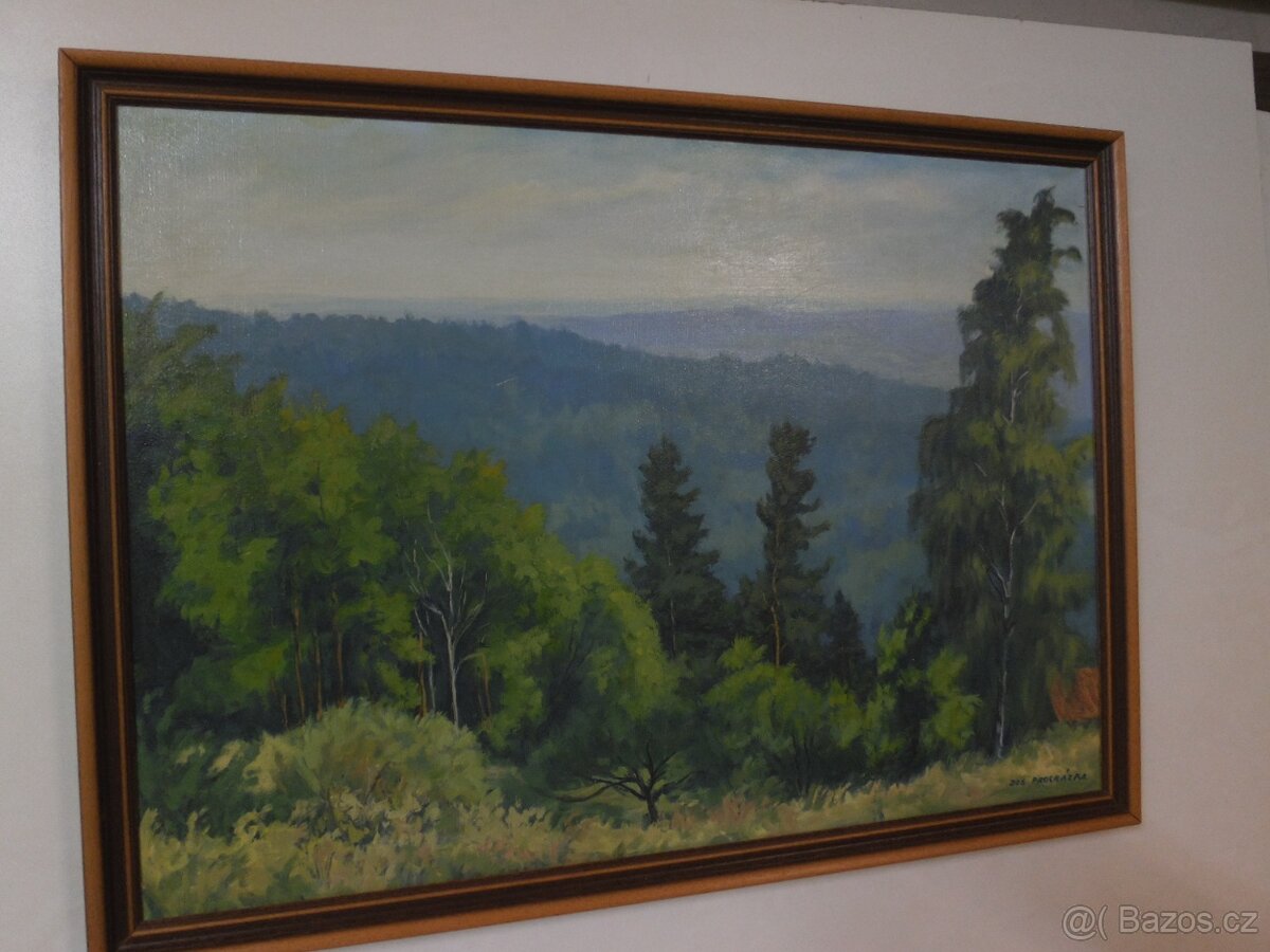 Černokostelecké lesy, Jar. Procházka 1908 +1989