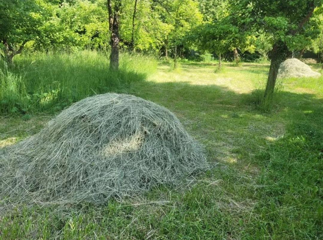 Luční seno