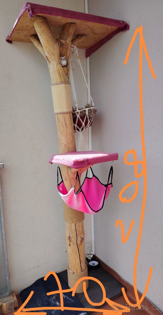 Kočičí strom