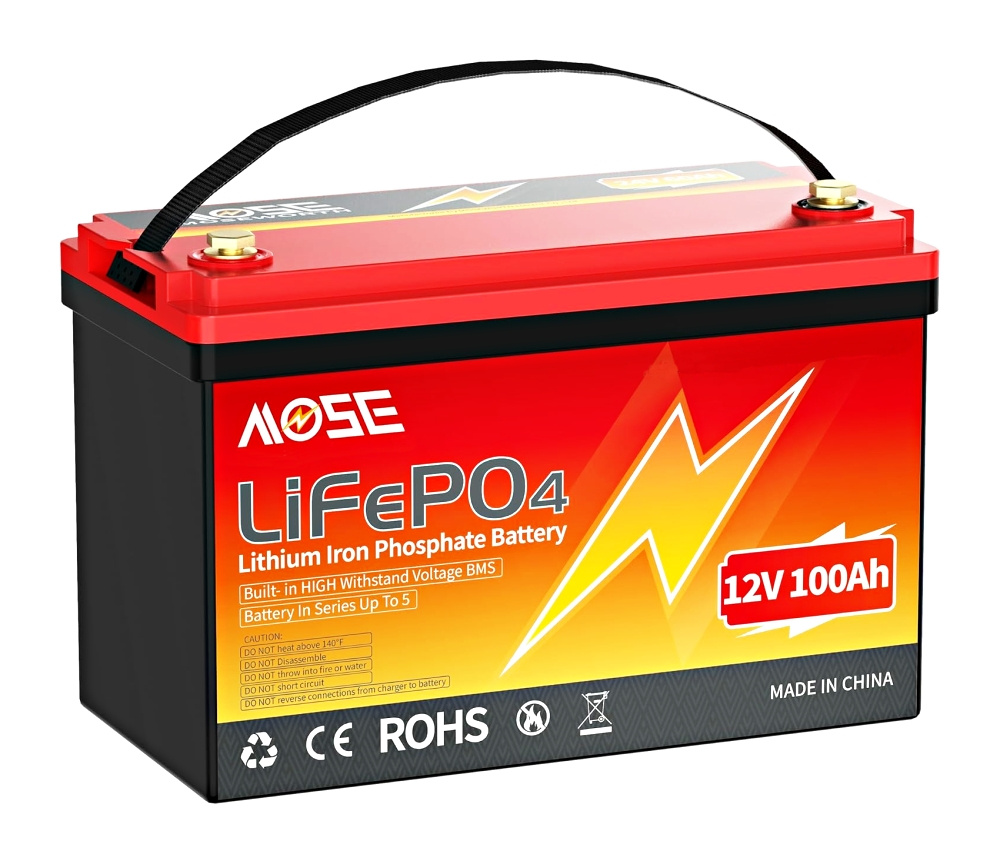 LiFePo4 baterie 12V 100Ah s BMS
