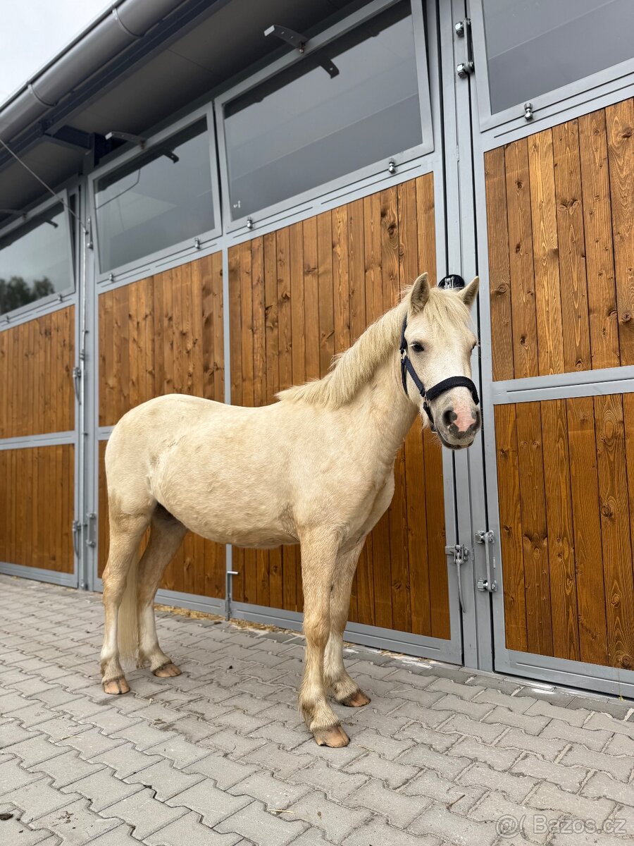 Prodám luxusního ponyho