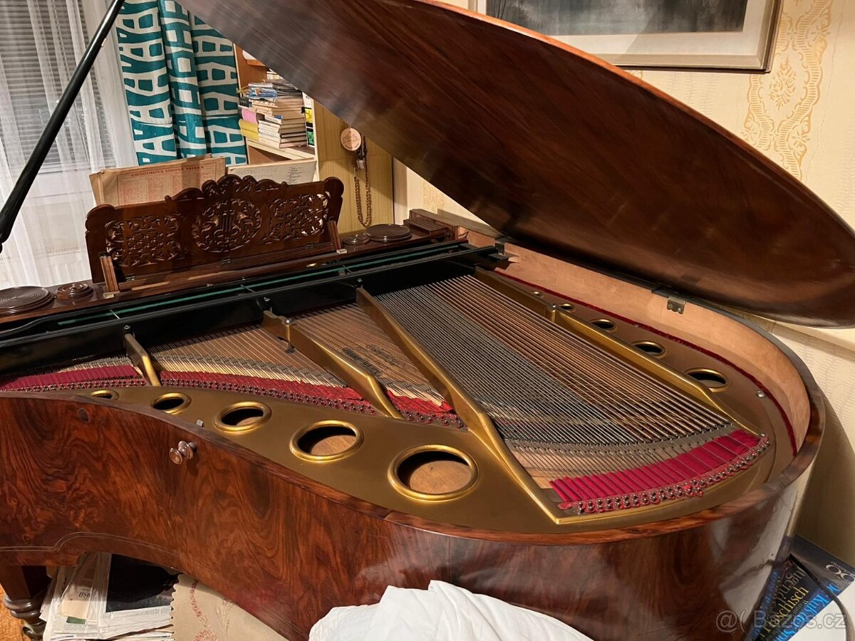 Klavírní Křídlo Vídeň Hájek