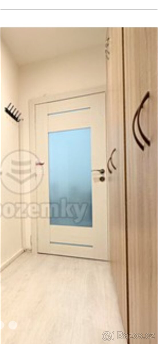 Koupelnové dveře 60 levé.