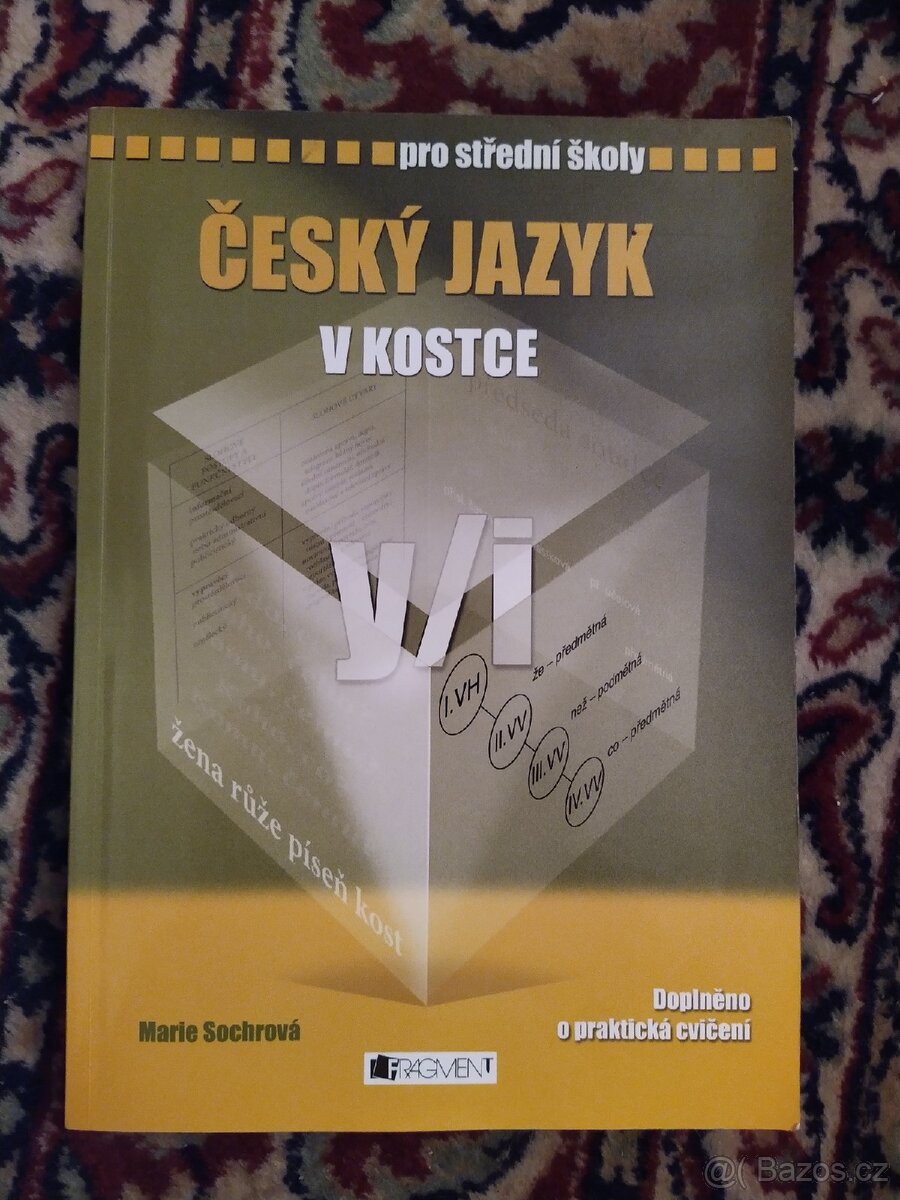 Český jazyk v kostce y/i