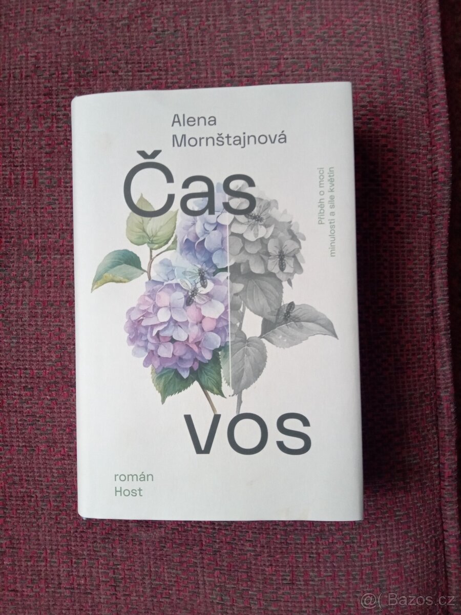 Alena Mornstajnova Čas vos