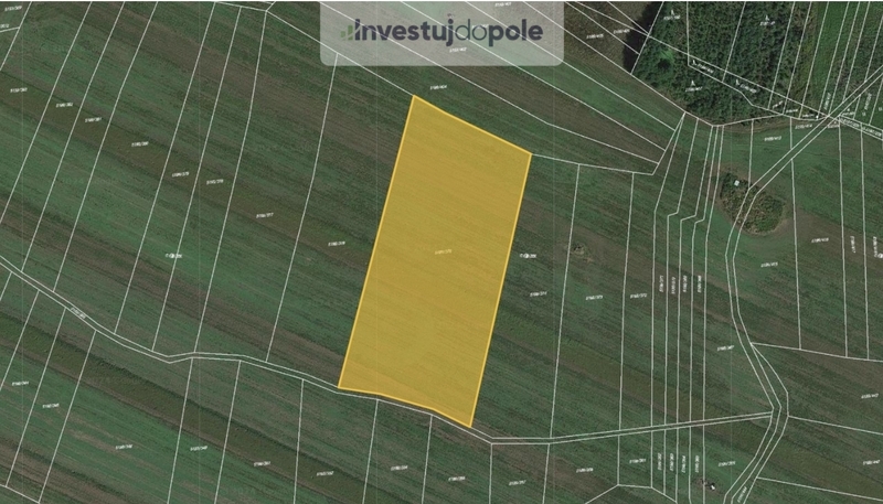 Prodej pole v k.ú. Bzenec
