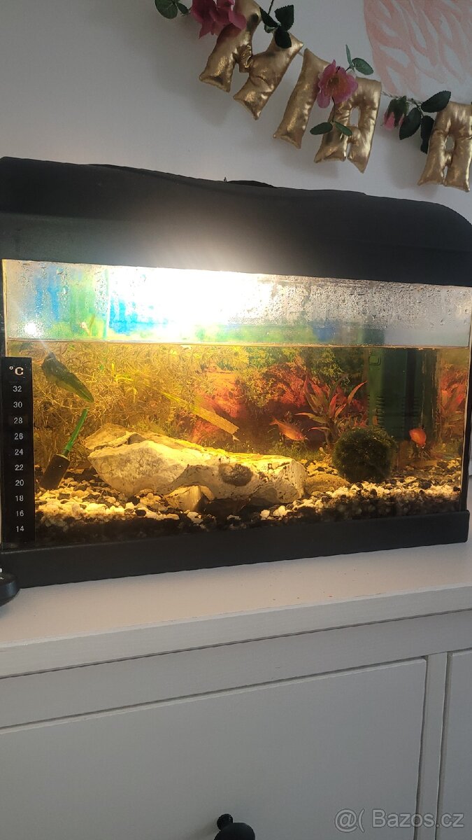 Kompletní akvarium