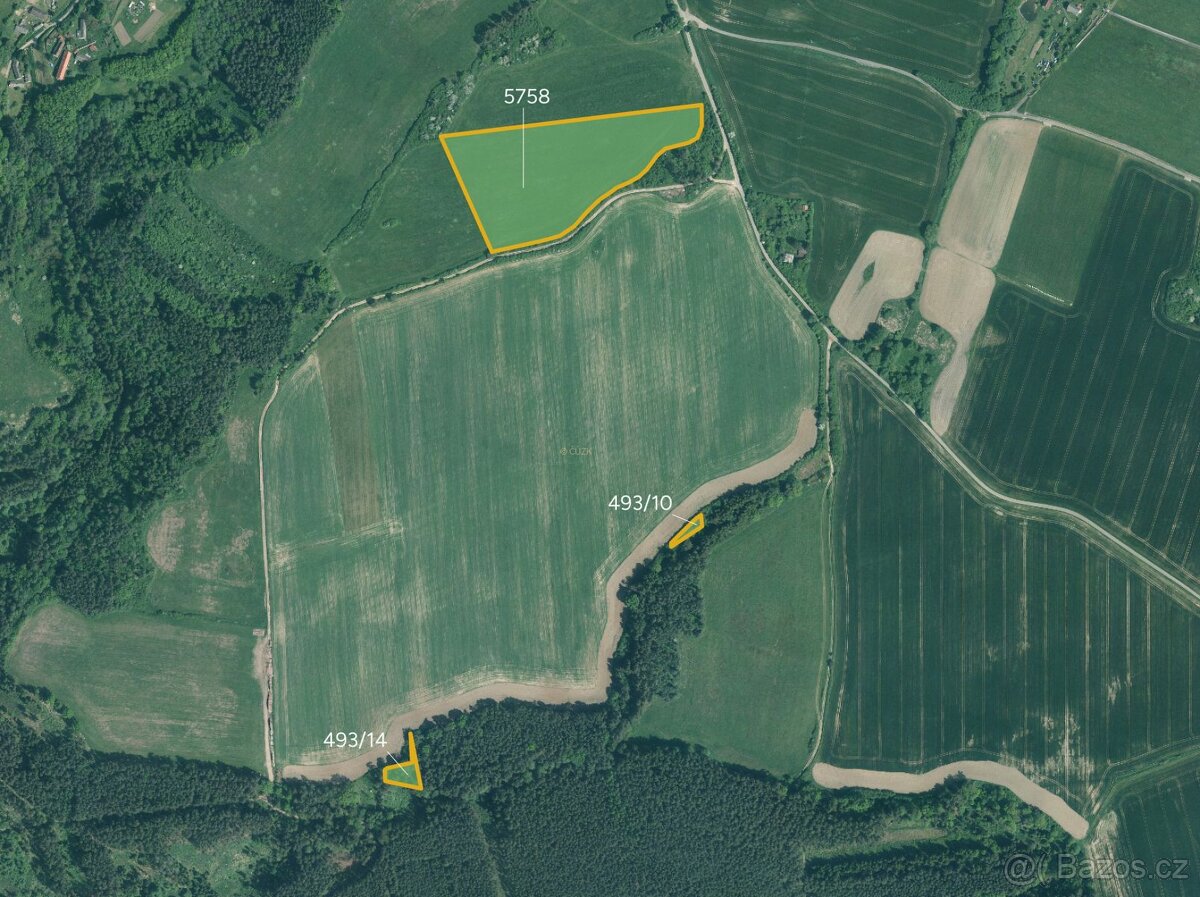 Louka, prodej, Písecká Smoleč, Slabčice, Písek