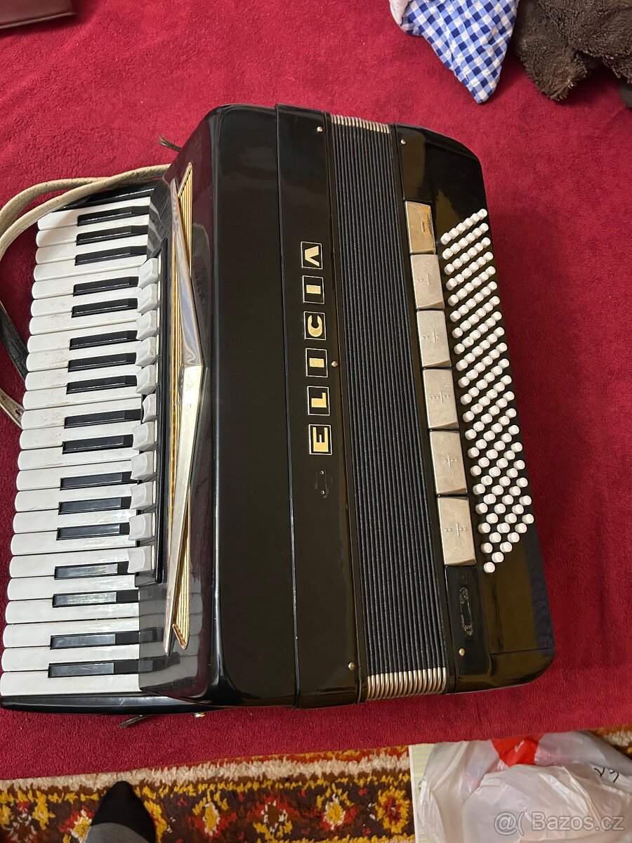 Harmoniky Delicia, Lidl Brno