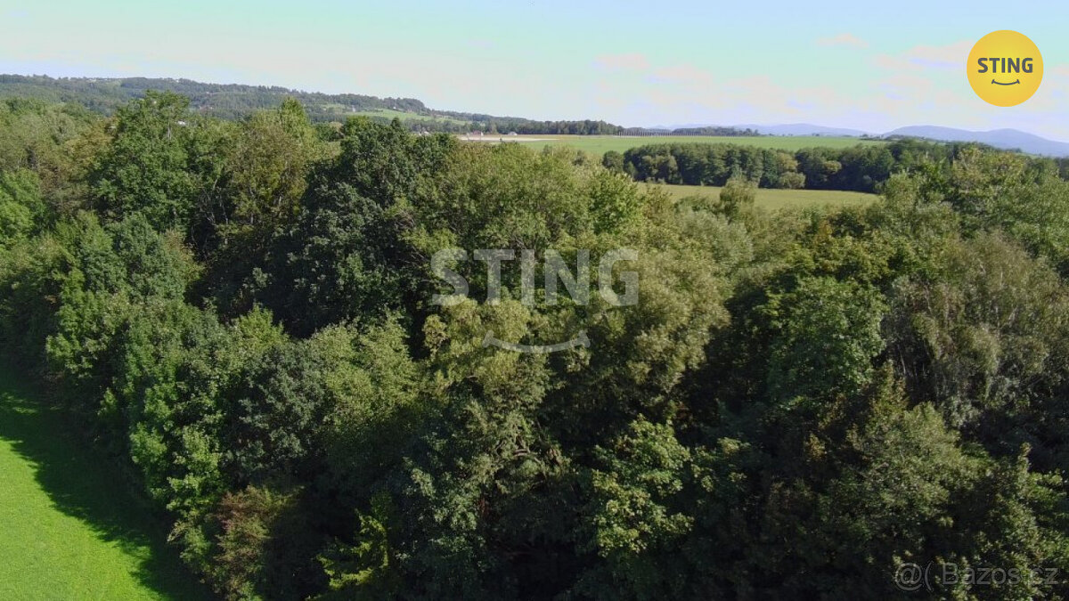 Prodej lesa, 9.789 m2, Hnojník, 133518