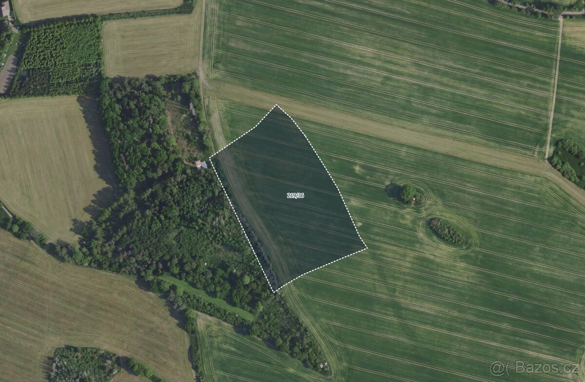 Zemědělská půda, prodej, Radimovice, Petříkov, Praha východ