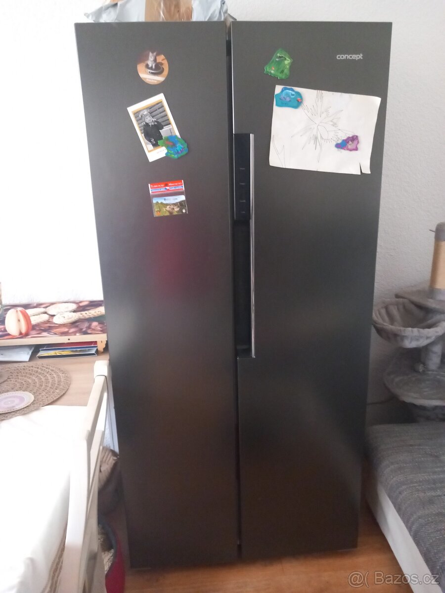 2 dveřová americká lednice CONCEPT