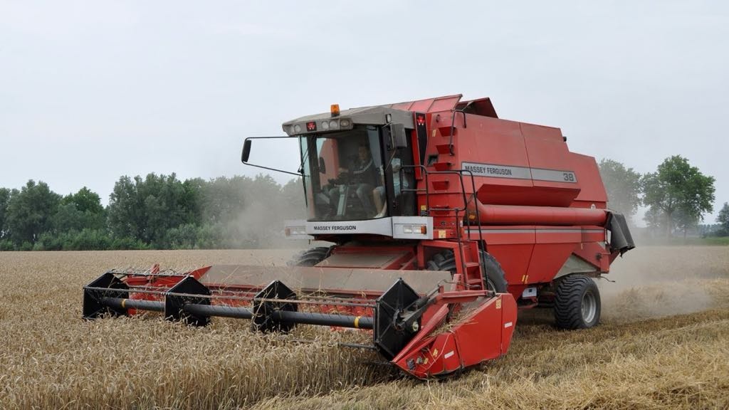 Sklizeň kombajnem - Žně 2025
