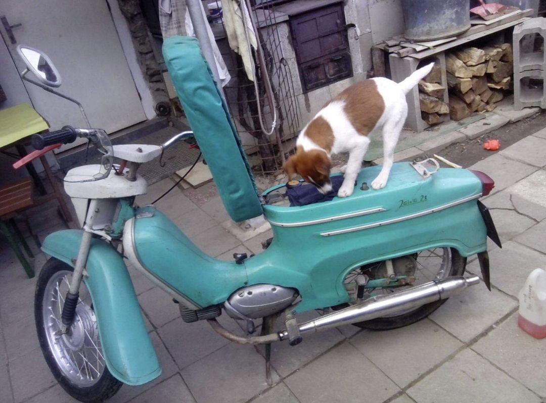 Jawa 21
