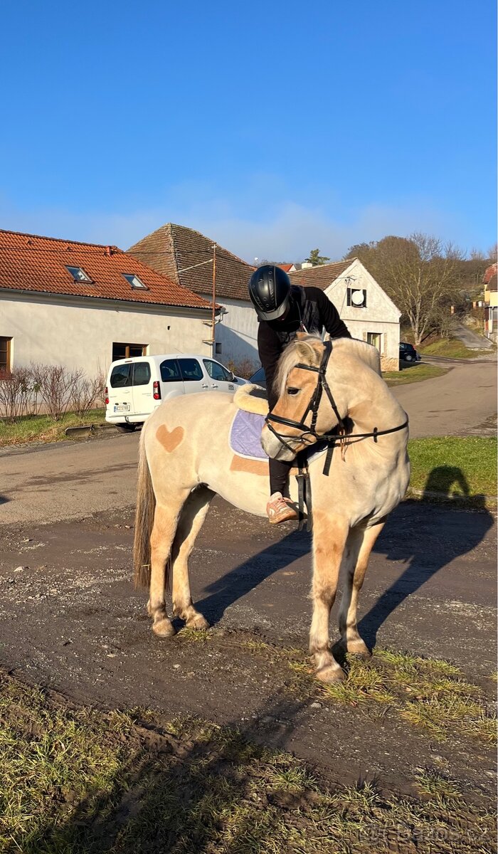 Hodná pony B klisna