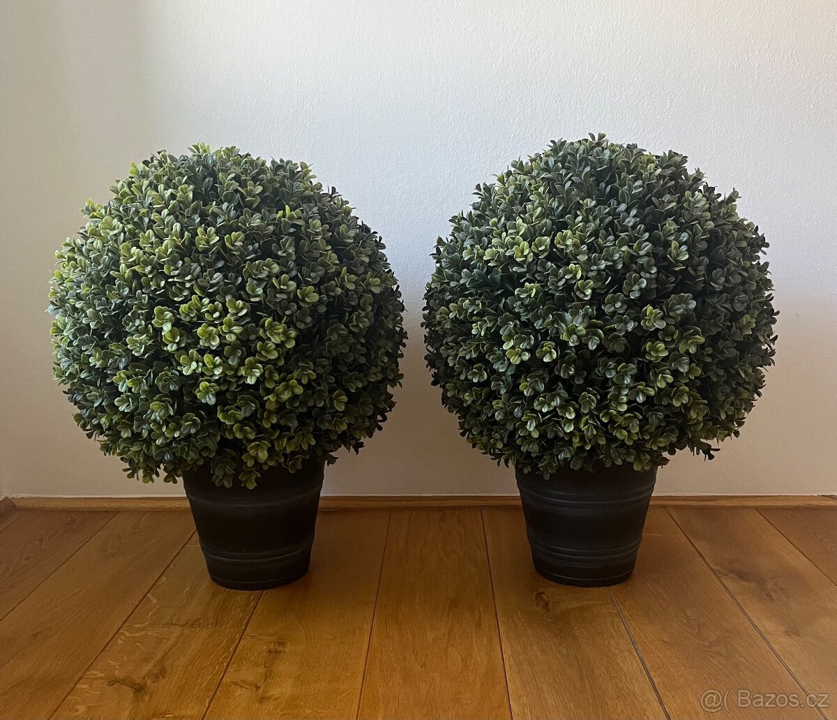 Umělý buxus
