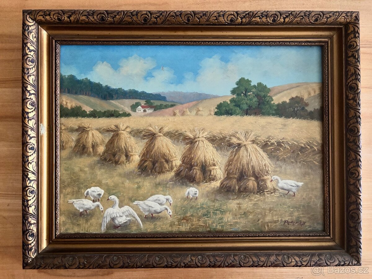 Obraz Žně na Vysočině, Peterka 45x59