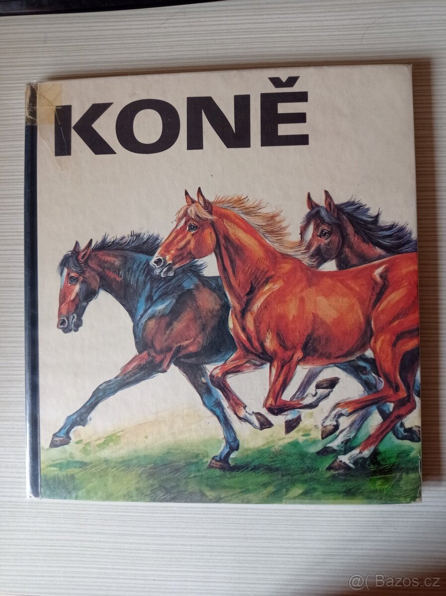Koně - KarlHeinz Gless