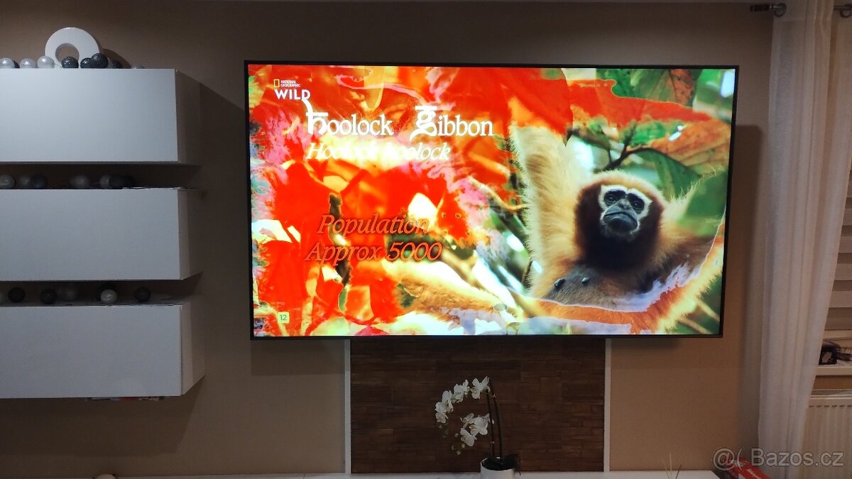 Prodám TV LG 86UR7800 (218 cm)