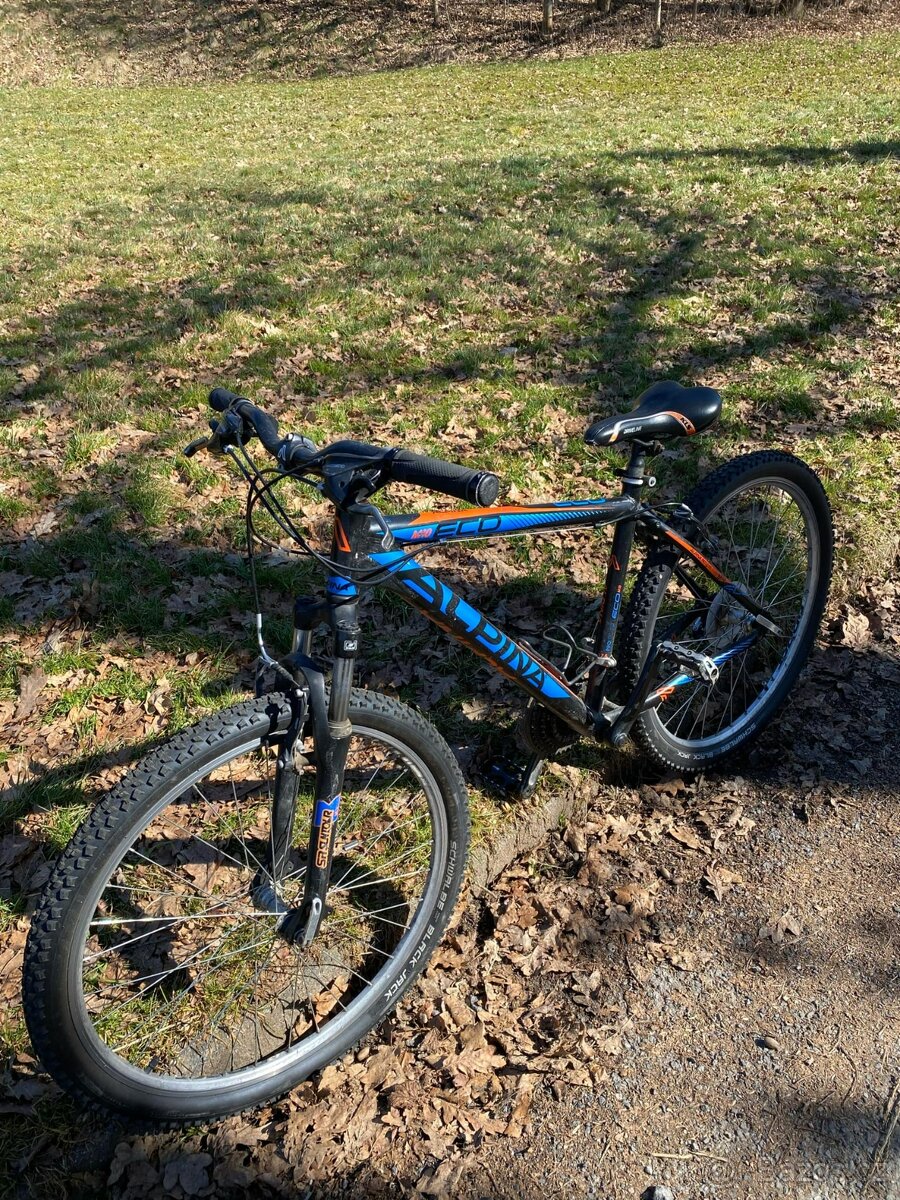 Horské jízdní chlapecké kolo ALPINA ECO M10 17.5"