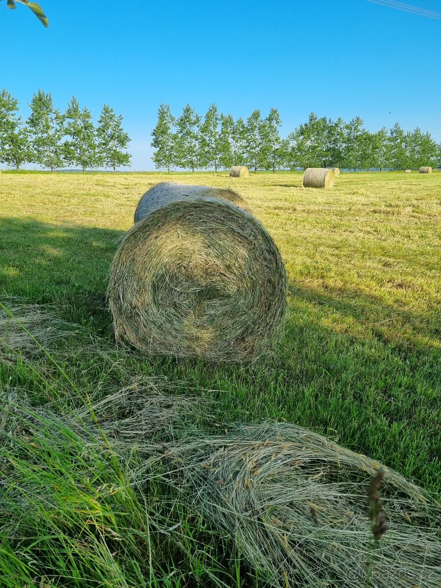 prodám letošní seno