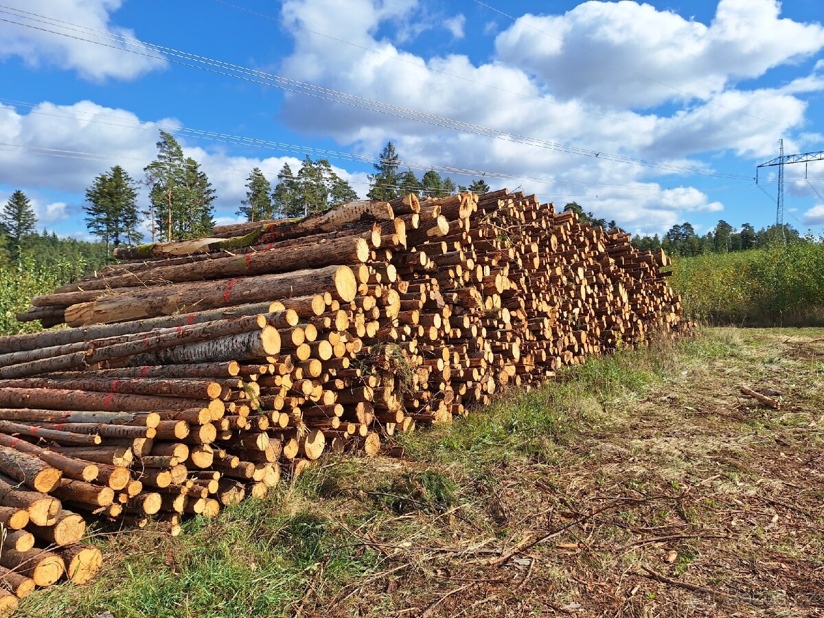 Palivové dřevo sypané, rovnané, tvrdé, měkké