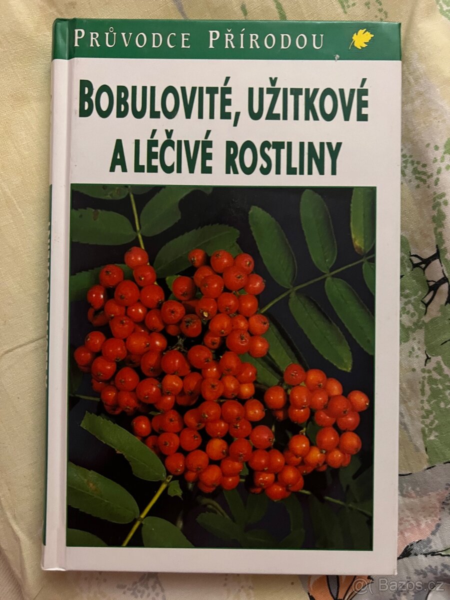 Bobulovité,užitkové a léčivé rostliny