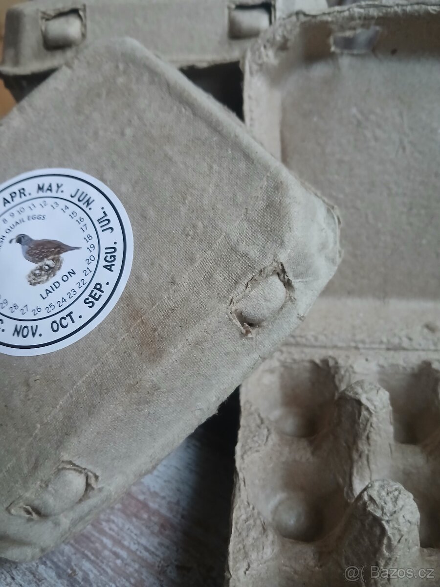 Krabičky na křepelčí vejce