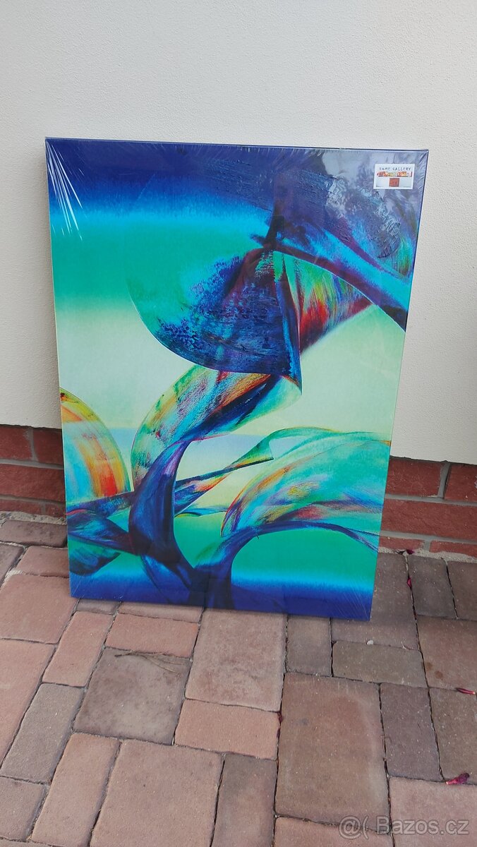 Obraz , rozměr 70x 50 cm