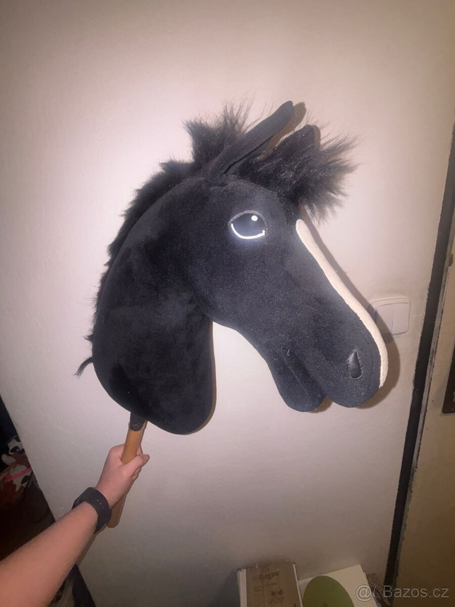 Hobby Horse