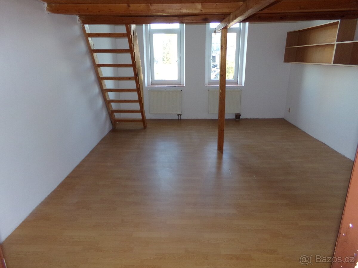 Pronájem bytu 1+1, Podnásepní, 75m2