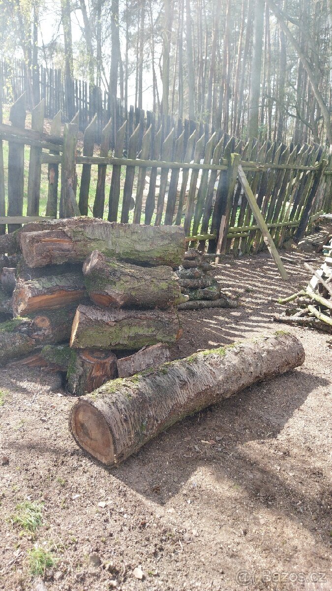 Třešeň