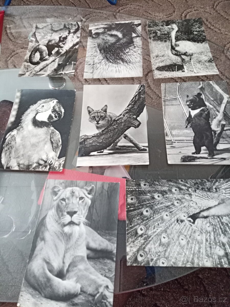 Fotogalerie a pohlednice černobílé.