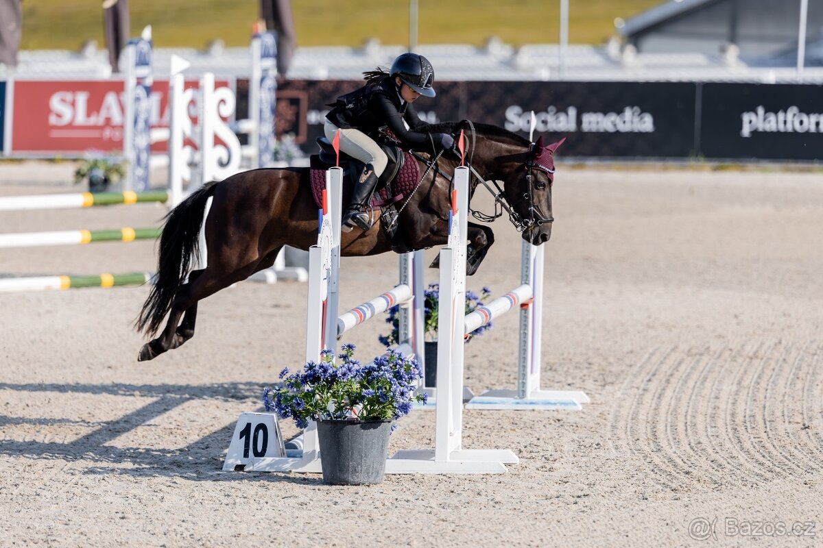 TOP sportovní pony A