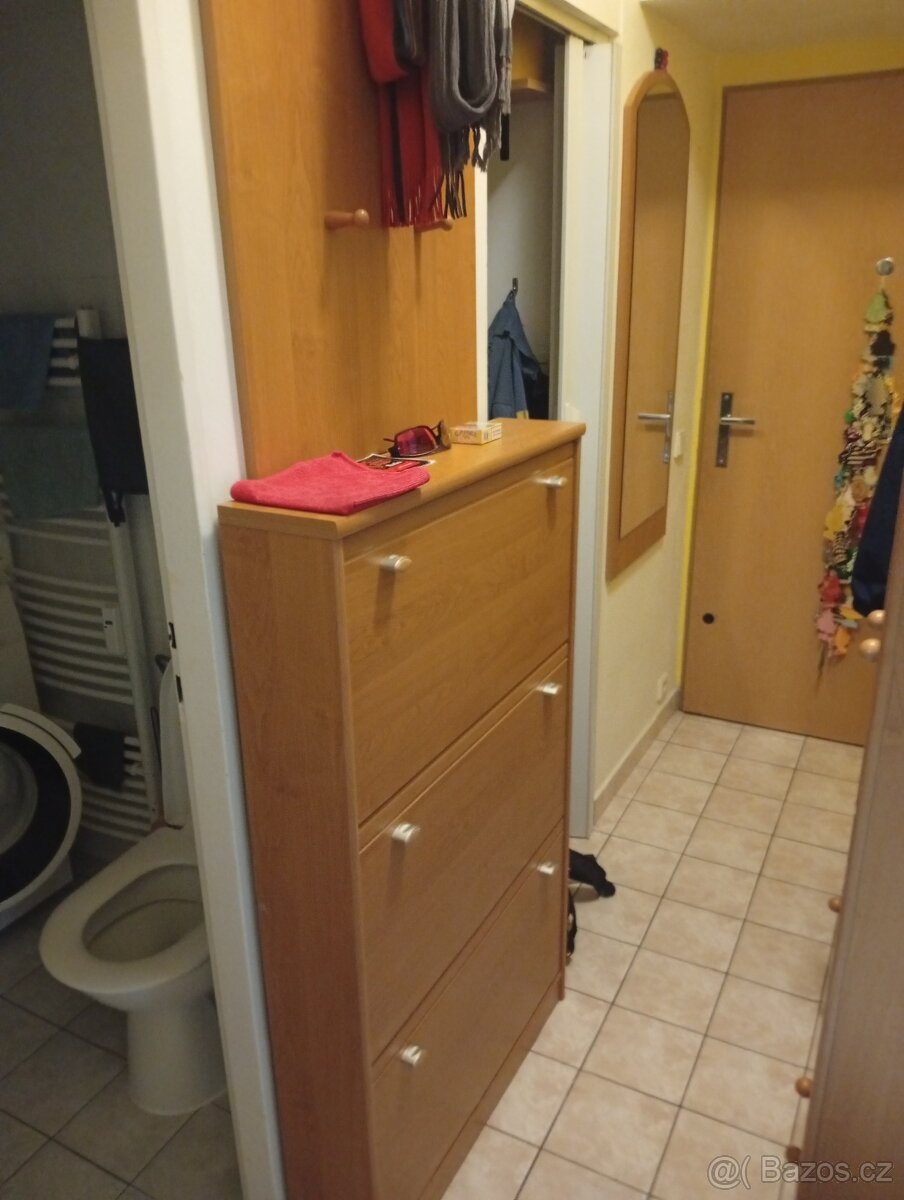 Předsíňová stěna