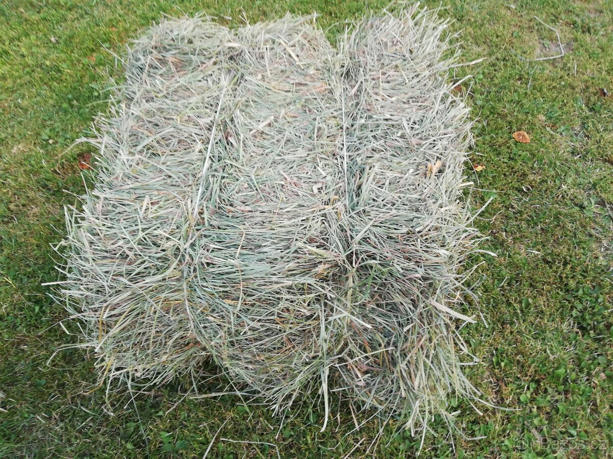 Luční seno - pěkná otava