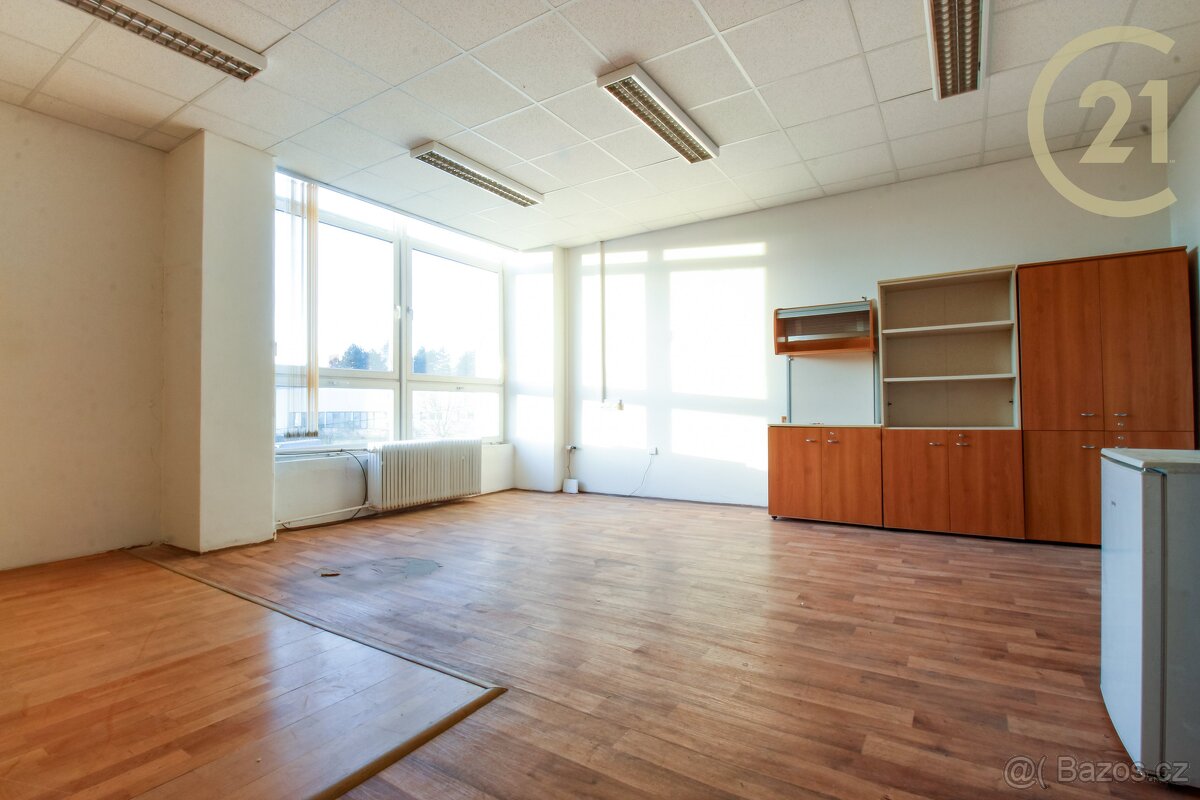 Pronájem kanceláře (36m²), Bohunická, Horní Heršpice