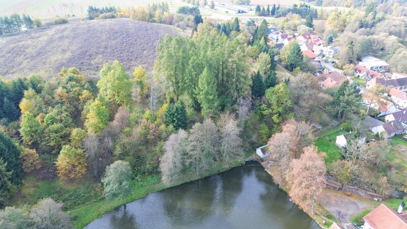 Prodej lesa, 986 m², Strmilov