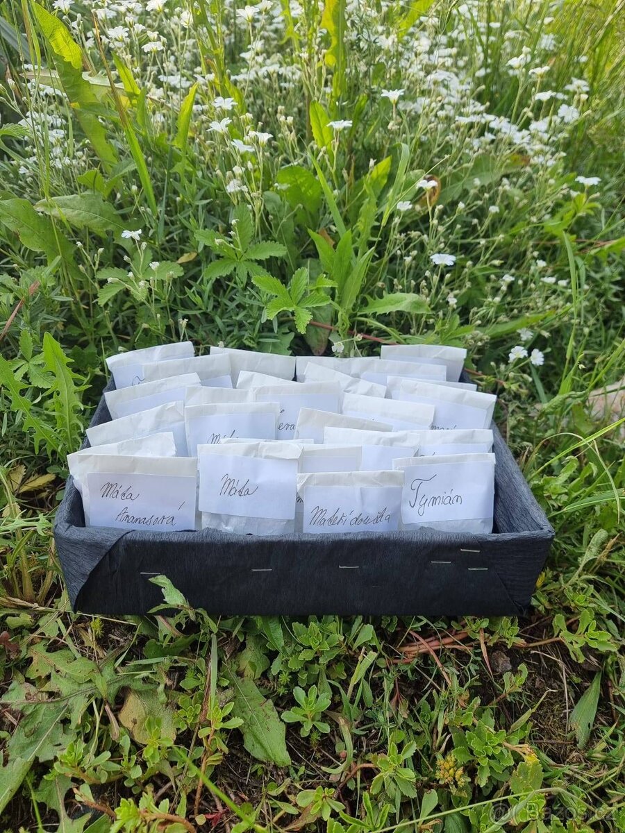 🌿 Domácí sušené bylinky – voňavý poklad z přírody 🌿
