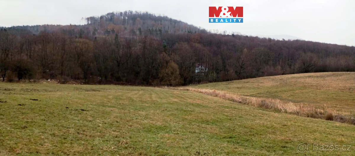 Prodej louky, 8010 m², Třebušín