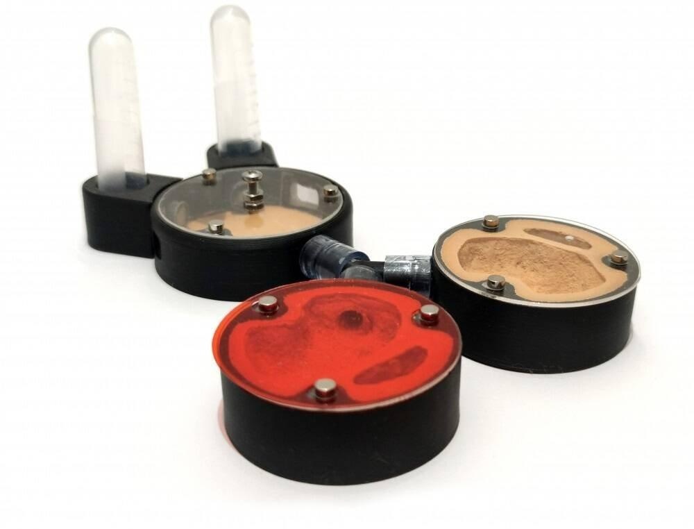 Formikárium ANTcore MINI