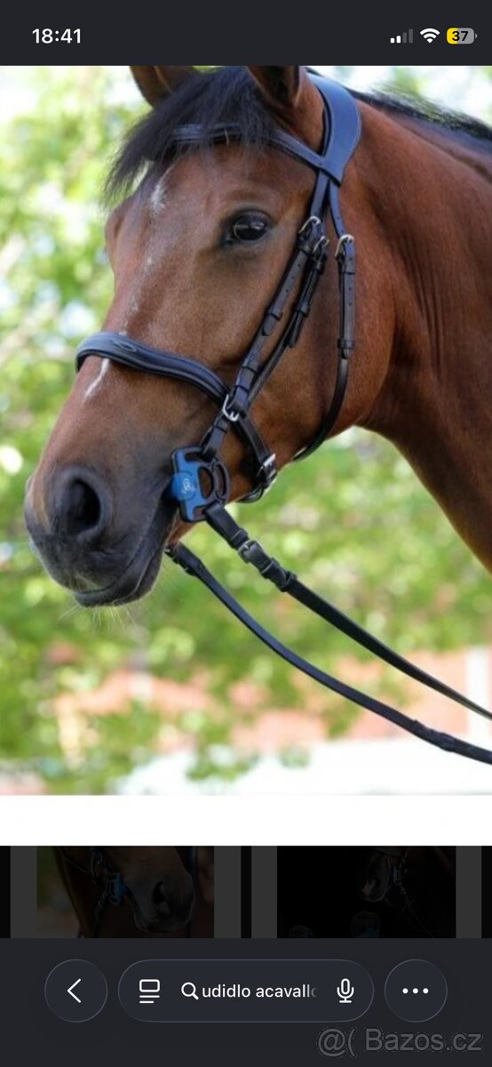 Udidlo Acavallo sensitive