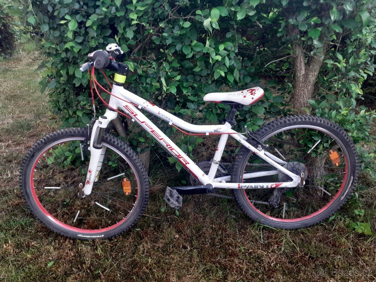 24" kolo Superior Paint