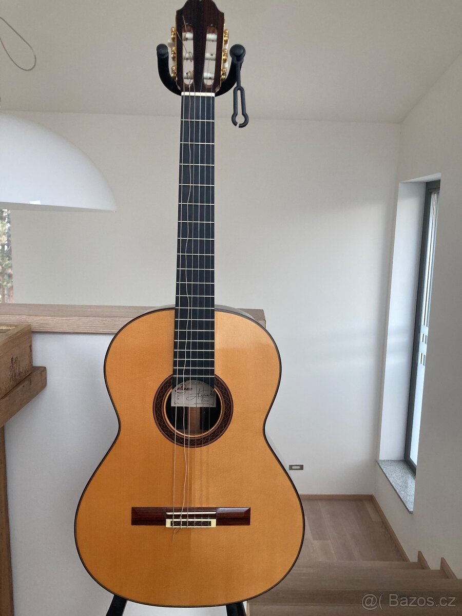 Kytara Antonio Picado model 60, 2001