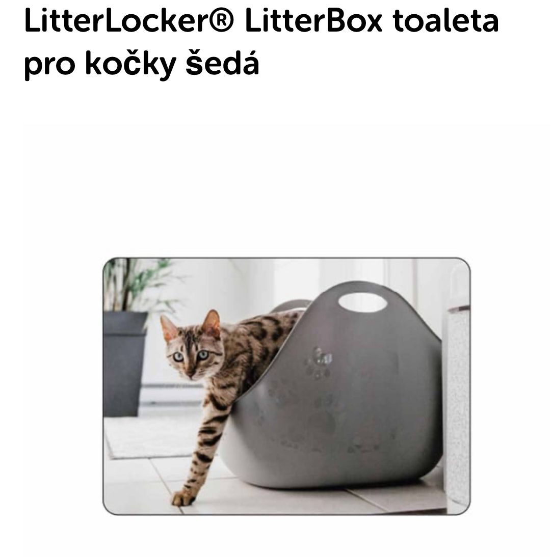Kočičí záchod