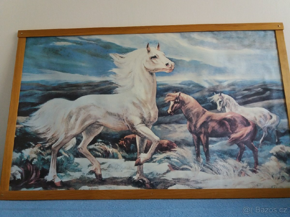 Plakát - koně.