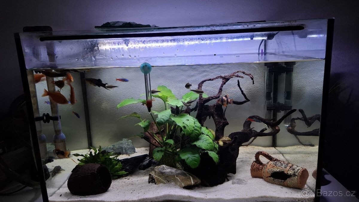 Komplet zaběhle akvarium.