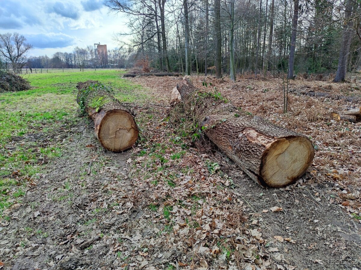 PRODÁM - DUBOVÁ KULATINA
