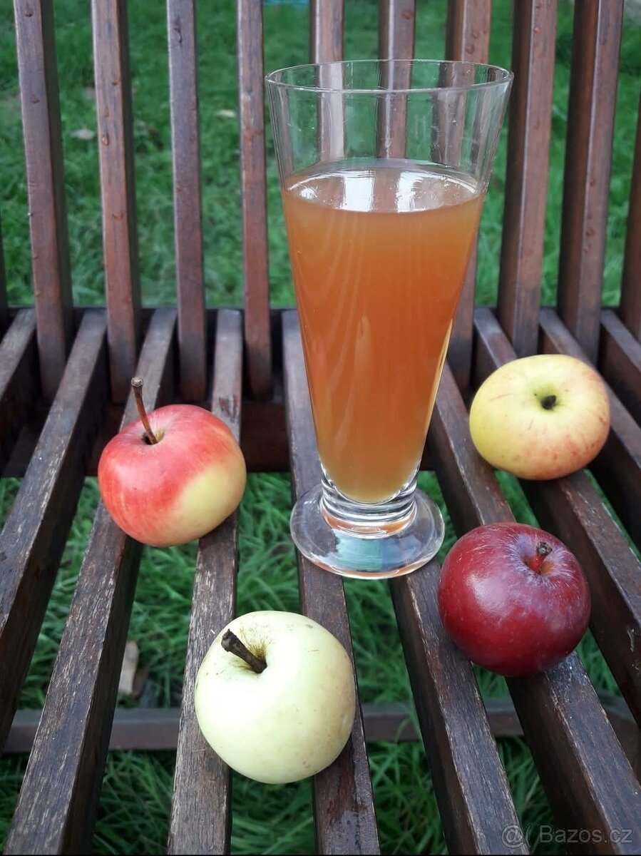 Mošt jablečný