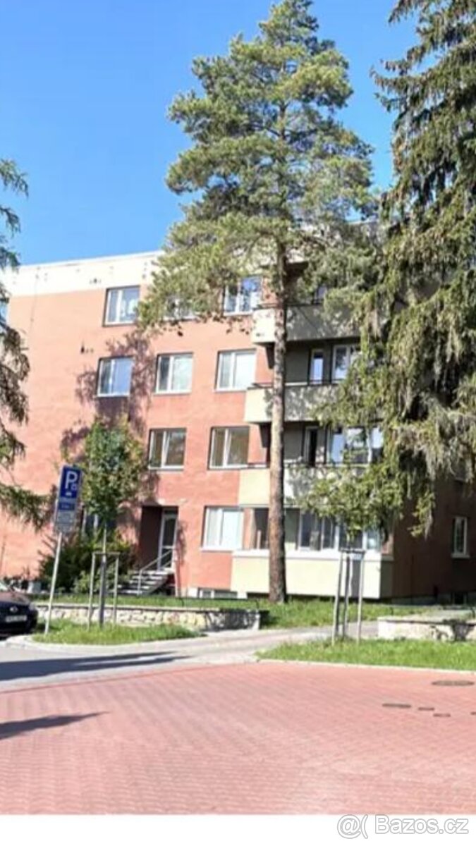 Pronájem bytu